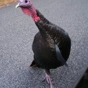 Karen Moon's photo