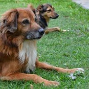 Belen Blasquez's photo