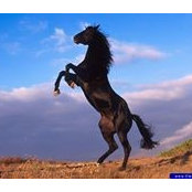 Alfonso Costas's photo