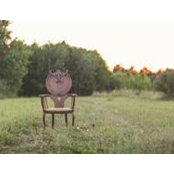 Photo de Cody Collier