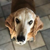 Edward Lashetski's photo