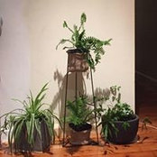 Natalie Bogg's photo