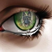 Debbie McCurdy's photo