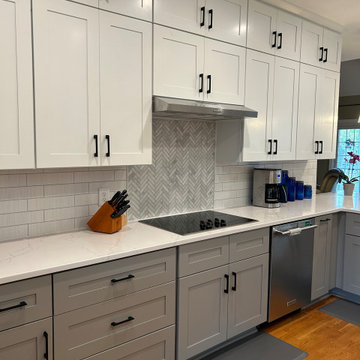 Transitional Kitchen Remodel Done in a Two-Tone Color