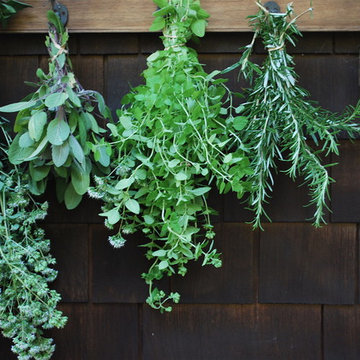 G A R D E N - Herb garden