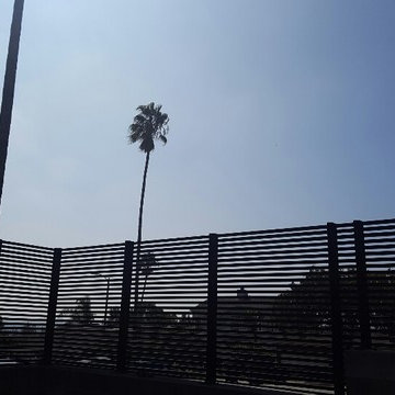 Mar Vista - Master Piece