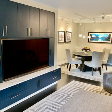 Rosslyn High-Rise Condo Total Remodel