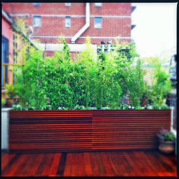 Chelsea, NYC Roof Deck: Ipe Planter Boxes, Bamboo, Privacy Screen, Birch, Contai