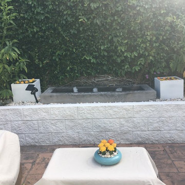Succulent Splendor in Eastside Costa Mesa - Part I - The Front - Before & After