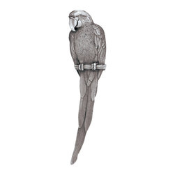 Tropical Collection by Notting Hill Decorative Hardware - Cabinet And Drawer Handle Pulls