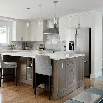 Fanshaw - Whole Home Renovation and Two-Story Addition