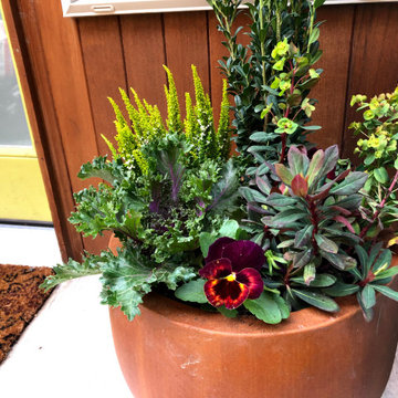 Fall Container Garden