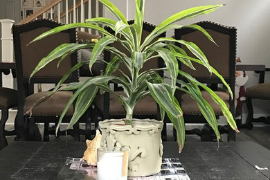 Inspiration for a living room remodel in Columbus