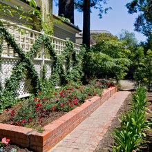 Landscape Ideas