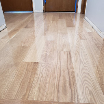 Downers Grove,new install 5 inch white oak ,Silvered Gray stain ,Bona Traffic HD
