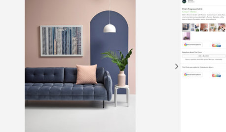 New Zealanders! Find the Paint Colour Seen in a Photo on Houzz