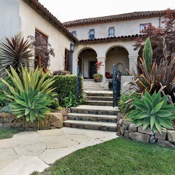 Courtyard Entry Garden - Oakland, CA