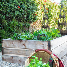 Gardening tips/stories