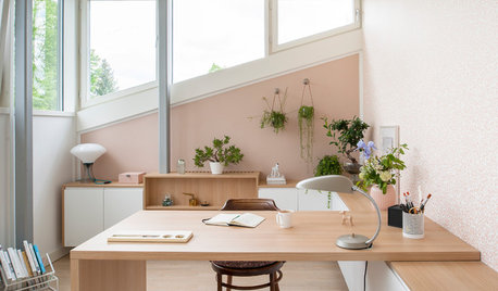 Feng Shui im Arbeitszimmer unter der Lupe