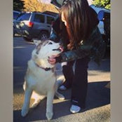 Sharon Liu's photo