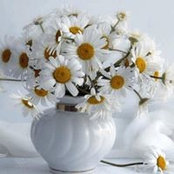 Valentina Belyaeva's photo