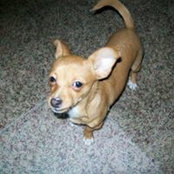 Hester Bridges's photo