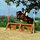 melissa_boettcher41