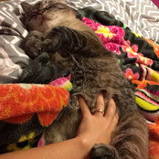 Josalynn Koch's photo