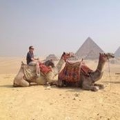 Charles Lynne's photo