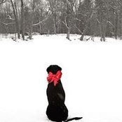 Sue Daily's photo