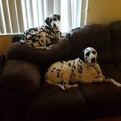 Michele Anderson's photo