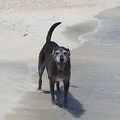 Maryann Ramsdell's photo