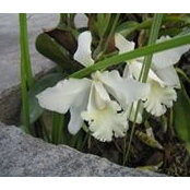Minda Santiago-Kelly's photo
