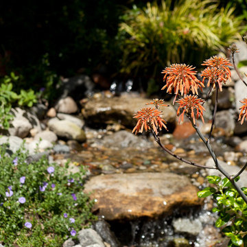 Armacost Garden