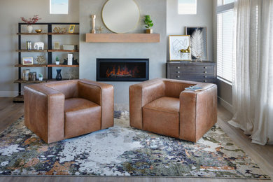Example of a living room design in Denver