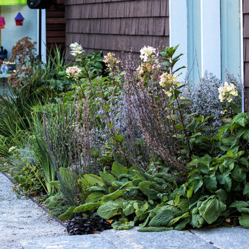 DeCordova Courtyard