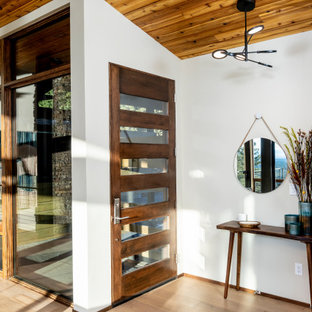 Foto de distribuidor abovedado, vintage, pequeño, con paredes blancas, suelo de madera clara y puerta simple