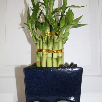 Interior Psychology - Bamboo is a powerful cure