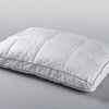 All Season Quilted 3-in-1 Pillow Certified Organic Cotton, Wool Fill, 20"x36"