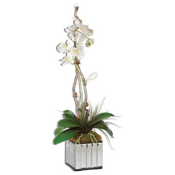 Uttermost 60122 Kaleama Orchids Faux Floral Designed by Constance Lael-Linyard