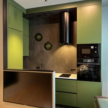 Full Kitchen Front View with TV Partition – 30 sqm Apartment, Moscow – Symbol RC