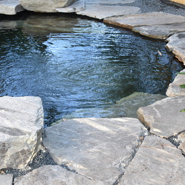 Garden pond with stone bridge
