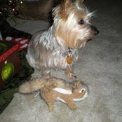 Lynne Edmondson's photo