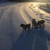 Robin Schwartz's photo