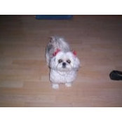Cathi Winnie's photo