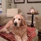 Barbara Zuckerman's photo