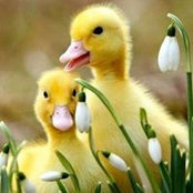 Kathy Jackson's photo