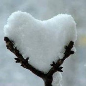 Sallie Hanson's photo
