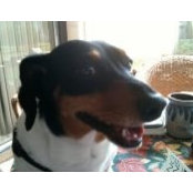 Shelley DeBlasis's photo