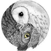 Craig Siman's photo